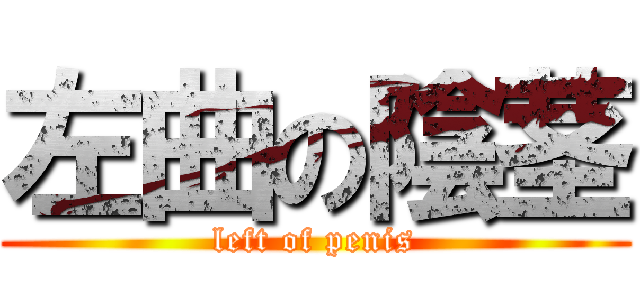 左曲の陰茎 (left of penis)