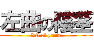 左曲の陰茎 (left of penis)