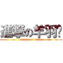 進撃の羊羽崽 (attack on titan)