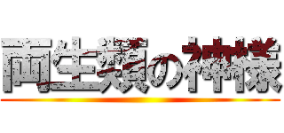 両生類の神様 ()