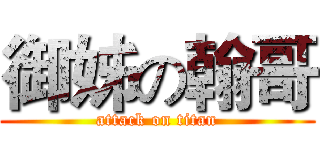 御姊の翰哥 (attack on titan)