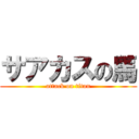 サアカスの馬 (attack on titan)