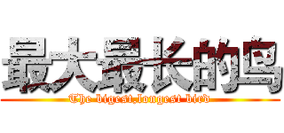 最大最长的鸟 (The bigest,longest bird)