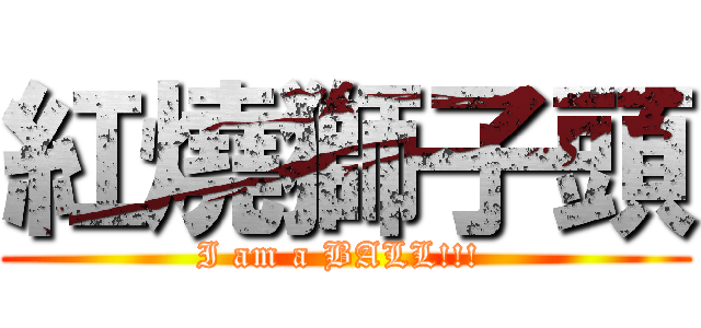 紅燒獅子頭 (I am a BALL!!! )