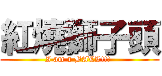 紅燒獅子頭 (I am a BALL!!! )