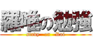 羅唯の勉強 (study   on   Rai)