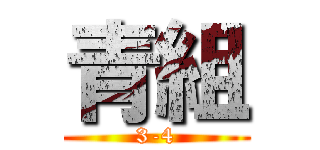 青組 (3-4)