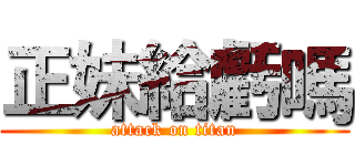 正妹給虧嗎 (attack on titan)
