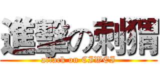 進擊の刺猬 (attack on CIWEI)