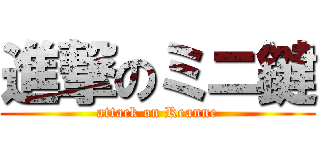 進撃のミニ鍵 (attack on Reanne)