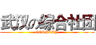 武汉の综合社团 (COSPLAY )