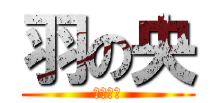 羽の央 (ＨＡＮｅ)