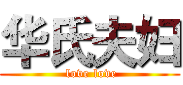 华氏夫妇 ( love love)
