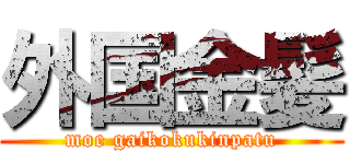 外国金髪 (moe gaikokukinpatu)