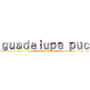 ｇｕａｄａｌｕｐｅ ｐｕｃ (attack on titan)