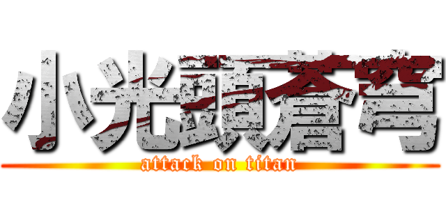 小光頭蒼穹 (attack on titan)