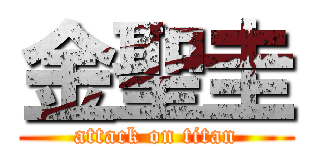 金聖圭 (attack on titan)