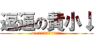 逗逼の黄小↓ (ntr777777777)