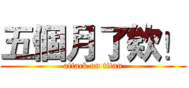 五個月了欸！ (attack on titan)