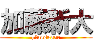 加藤新大 (plussugar)