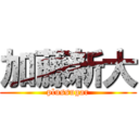 加藤新大 (plussugar)