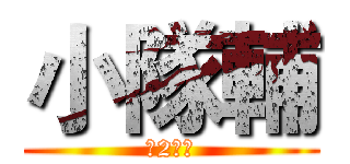 小隊輔 (第2小隊)