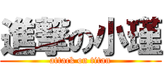 進撃の小瑾 (attack on titan)