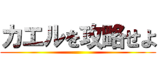 カエルを攻略せよ ()