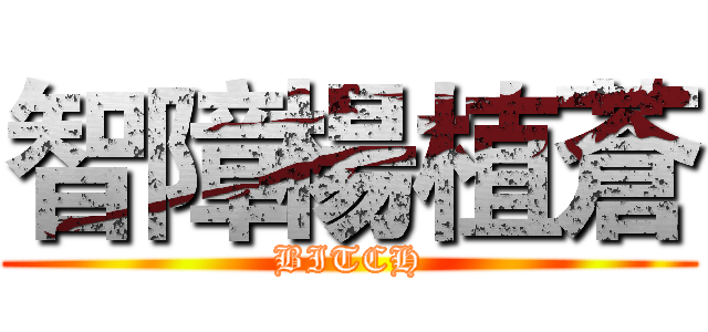 智障楊植蒼 (BITCH)