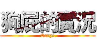 狗屁的實況 (Carpe)