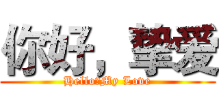 你好，挚爱 (Hello，My Love)