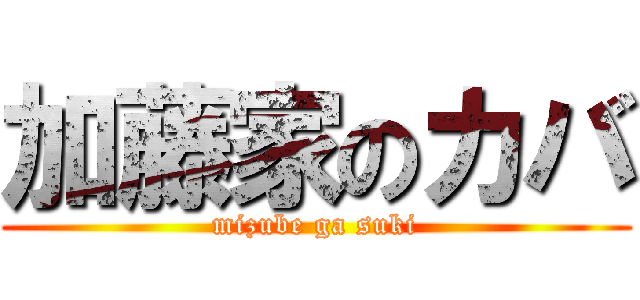 加藤家のカバ (mizube ga suki)