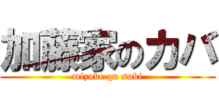 加藤家のカバ (mizube ga suki)