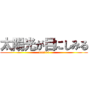 太陽光が目にしみる (114514)