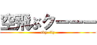 空飛ぶクーーー (sky  fly)