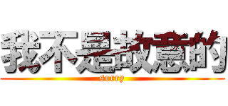 我不是故意的 (sorry)