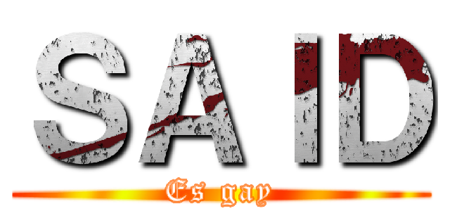 ＳＡＩＤ (Es gay)