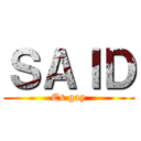 ＳＡＩＤ (Es gay)