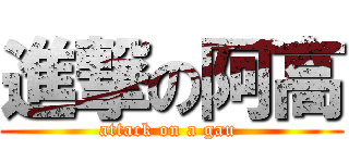 進撃の阿高 (attack on a gau )