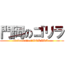門岡のゴリラ (kadooka　on　GORIRA )
