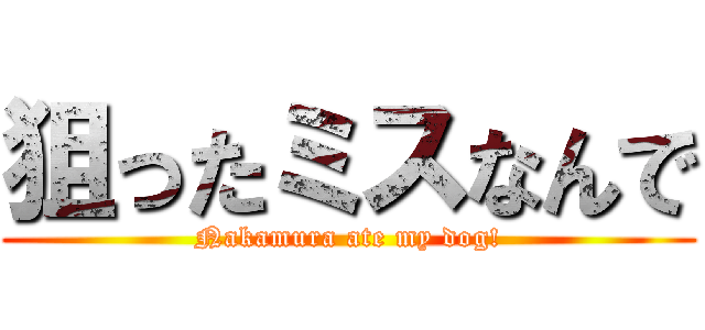 狙ったミスなんで (Nakamura ate my dog!)