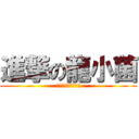 進撃の龍小菌 (旺角街頭音樂演唱會)