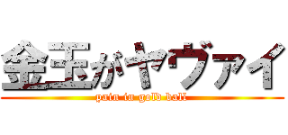 金玉がヤヴァイ (pain in gold ball)
