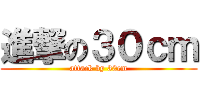 進撃の３０ｃｍ (attack by 30cm)
