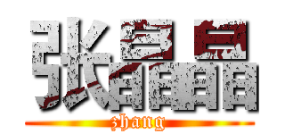 张晶晶 (zhang)