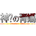 神暻の青媽 (attack on titan)