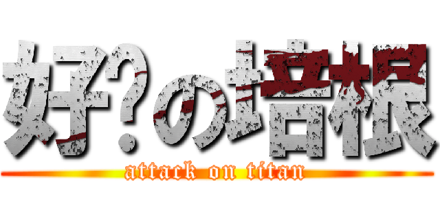 好ㄘの培根 (attack on titan)
