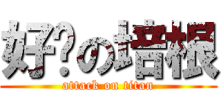 好ㄘの培根 (attack on titan)