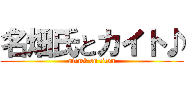 名畑氏とカイト♪ (attack on titan)