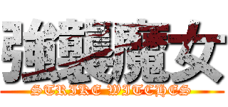 強襲魔女 (STRIKE WITCHES)